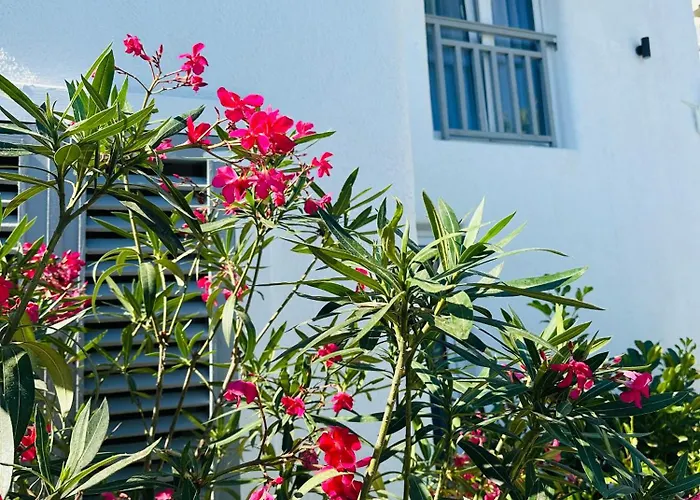 Tagoo * فاما فيكي